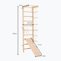 Drabinka gimnastyczna RINAGYM SPR B+SLIDE 6