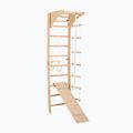 Drabinka gimnastyczna RINAGYM SPR C+SLIDE 3