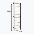 Drabinka gimnastyczna RINAGYM Steel 1 graphit 9
