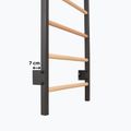 Drabinka gimnastyczna RINAGYM Steel 1 graphit 10
