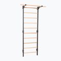 Drabinka gimnastyczna RINAGYM Steel Pure graphit 2