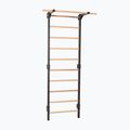 Drabinka gimnastyczna RINAGYM Steel Pure graphit 3