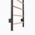 Drabinka gimnastyczna RINAGYM Steel Pure graphit 9