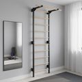Drabinka gimnastyczna RINAGYM Steel Pure graphit 14