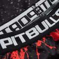 Legginsy męskie Pitbull Compr Pants Blood Dog black 3