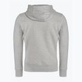 Bluza męska Pitbull Hooded Small Logo 21 grey/melange 2