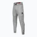 Spodnie męskie Pitbull Pants Alcorn grey/melange 7