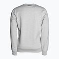 Bluza męska Pitbull Crewneck Fern grey/melange 2