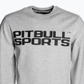 Bluza męska Pitbull Crewneck Fern grey/melange 3