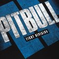 Koszulka męska Pitbull Vale Tudo black 8