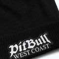 Czapka zimowa Pitbull Beanie Bubble One Tone Old Logo black 2