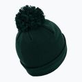 Czapka zimowa Pitbull Beanie Bubble Small Logo dark green 2