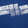 Bluza męska Pitbull Crewneck Classic Logo royal blue 3
