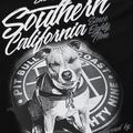 Koszulka damska Pitbull Koszulka So Cal 18 black 3