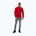Bluza męska Pitbull Tanbark Crewneck Sweatshirt red 2