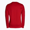 Bluza męska Pitbull Tanbark Crewneck Sweatshirt red 8