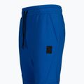 Spodnie męskie Pitbull Pants Clanton royal blue 9
