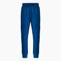 Spodnie męskie Pitbull Pants Alcorn royal blue