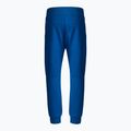 Spodnie męskie Pitbull Pants Alcorn royal blue 2