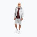 Bluza męska Pitbull Hooded Zip Small Logo F.Terry 220 grey/melange 2