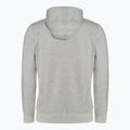 Bluza męska Pitbull Hooded Zip Small Logo F.Terry 220 grey/melange 6