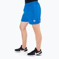 Spodenki treningowe męskie Pitbull Performance Small Logo blue 6