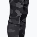 Legginsy męskie Pitbull Dillard black 6
