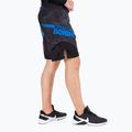 Spodenki grapplingowe męskie Pitbull Grappling Master Of Boxing black 3