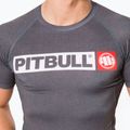 Rashguard męski Pitbull T-S Rash Hilltop grey/melange 4