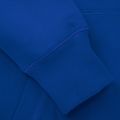 Bluza męska Pitbull Hooded Small Logo royal blue 4