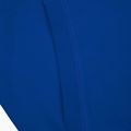 Bluza męska Pitbull Hooded Small Logo royal blue 5