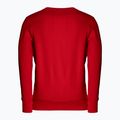 Bluza męska Pitbull Crewneck Small Logo red 2