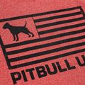 Koszulka męska Pitbull T-S Pitbull USA red 4