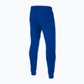 Spodnie męskie Pitbull Durango Jogging 210 royal blue 2