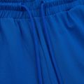 Spodnie męskie Pitbull Durango Jogging 210 royal blue 3