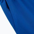 Spodnie męskie Pitbull Durango Jogging 210 royal blue 4