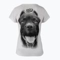 Koszulka damska Pitbull Ir white 2