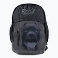 Plecak męski Pitbull Pitbull Ir 28 l black/grey