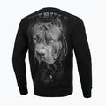 Bluza męska Pitbull Born In 1989 Crewneck black 3