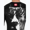 Rashguard longsleeve męski Pitbull Rashguard Street Dog black 5