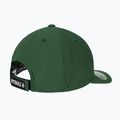 Czapka z daszkiem Pitbull Snapback ,,Logo" Hybrid green 2