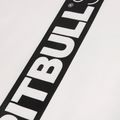 Bluza męska Pitbull Stafford Hooded off white 10