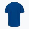 Koszulka męska Pitbull Small Logo royal blue 8