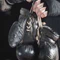 Koszulka męska Pitbull Boxing Fd black 5