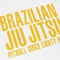 Koszulka męska Pitbull BJJ Champions white 3