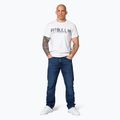 Koszulka męska Pitbull Origin white 2