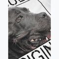 Koszulka męska Pitbull Origin white 7