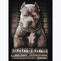 Koszulka męska Pitbull Mugshot 2 black 8