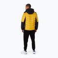 Kurtka zimowa męska Pitbull Evergold Hooded Padded yellow/black 3