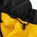 Kurtka zimowa męska Pitbull Evergold Hooded Padded yellow/black 9